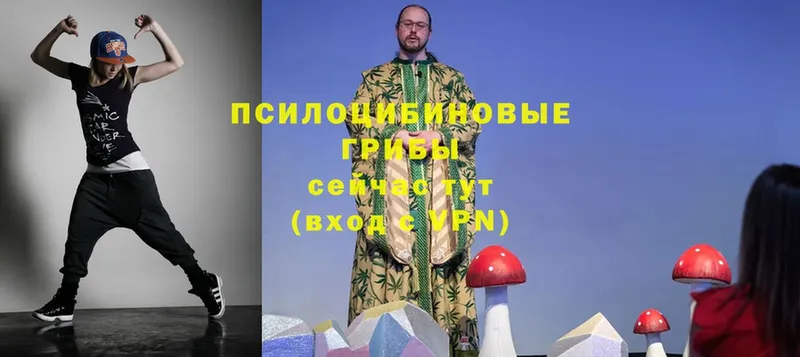 Галлюциногенные грибы Magic Shrooms  ссылка на мегу зеркало  Алзамай 